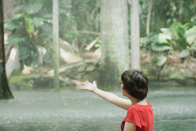 CosmoCaixa rainforest