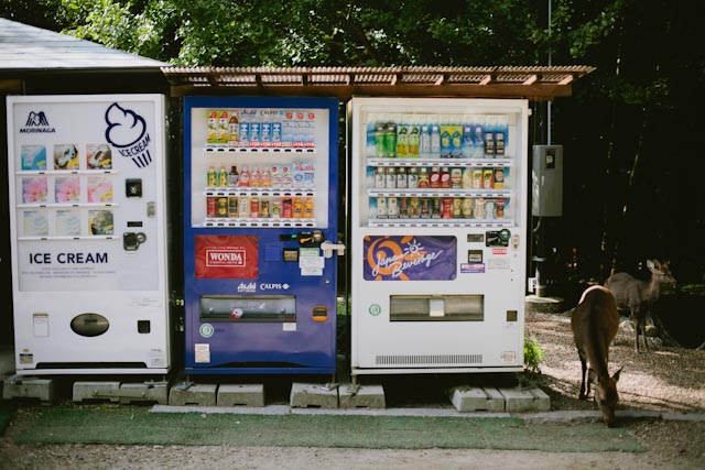 vending machines and a deer - the cat you and us