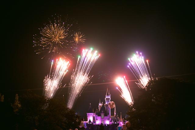 the fantastic fireworks at Disneyland - the cat you and us