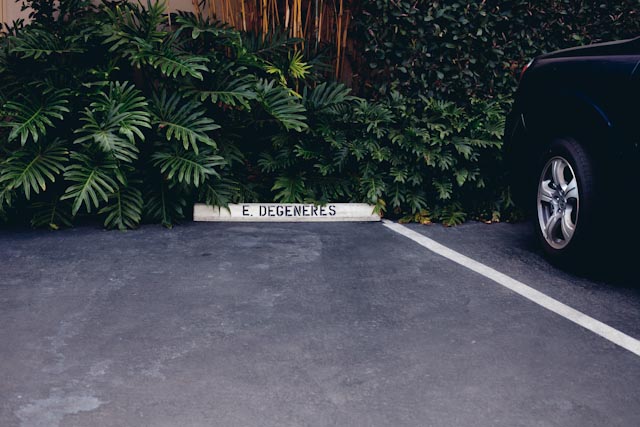 Ellen Degeneres parking spot - the cat you and us