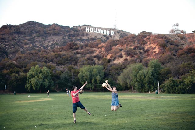 Hollywood sign - the cat you and us