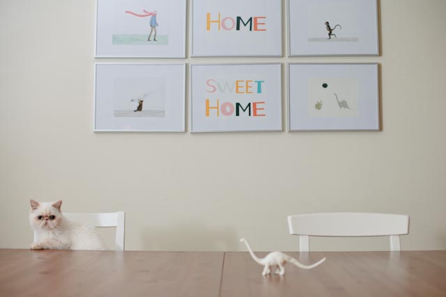 Put a white diplodocus in your home - The cat, you and us