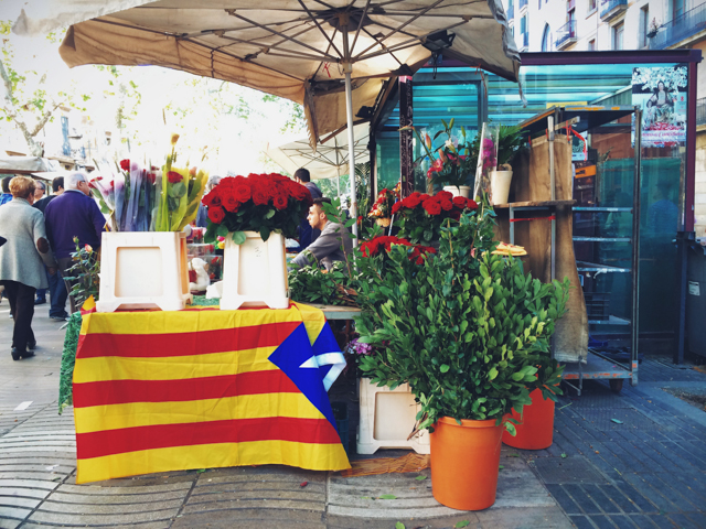 Sant Jordi stalls in Las Ramblas - The cat, you and us