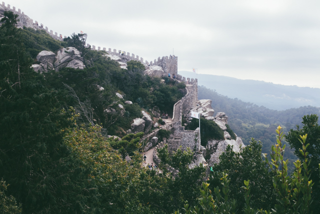 Castelo dos Mouros - The cat, you and us