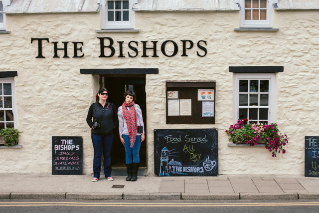 Saint Davids - The cat, you and us