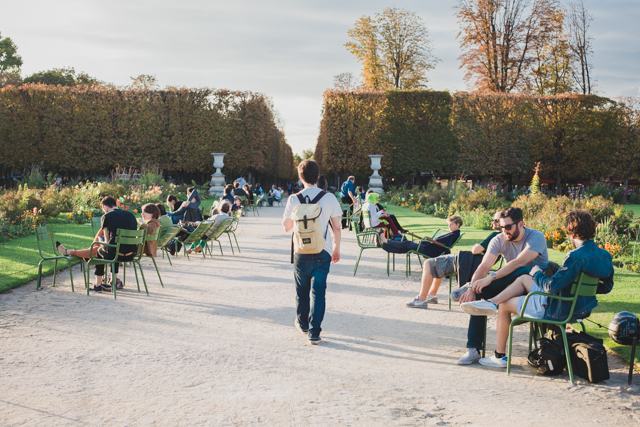 Jardin des Tuileries - The cat, you and us