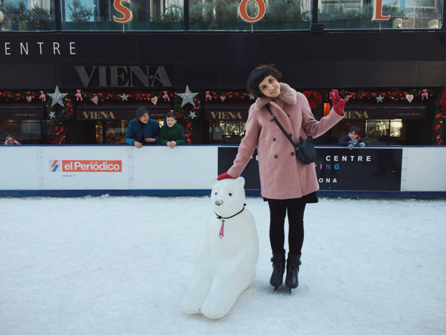 Ice skating ring - The cat, you and us