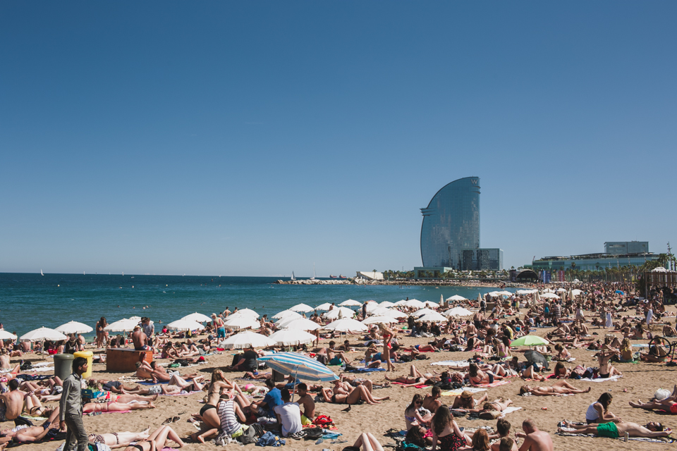 Barceloneta beach - The cat, you and us