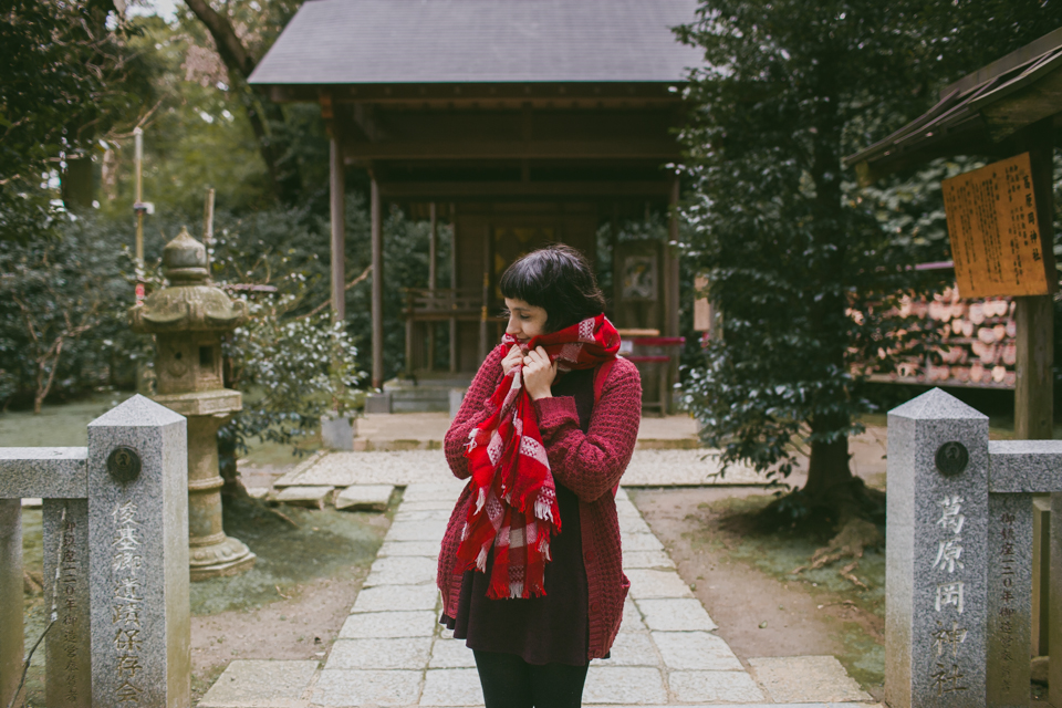 Kuzuharaoka shrine Kamakura - The cat, you and us