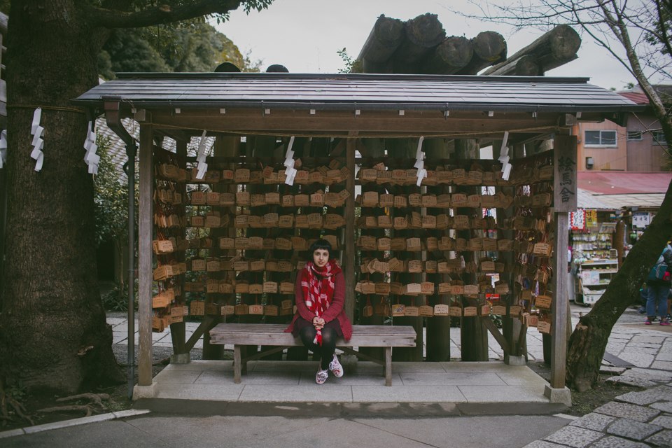 Zeniarai Benzaiten Shrine Kamakura - The cat, you and us