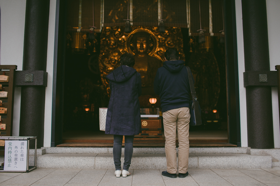 Hase Dera Kamakura - The cat, you and us