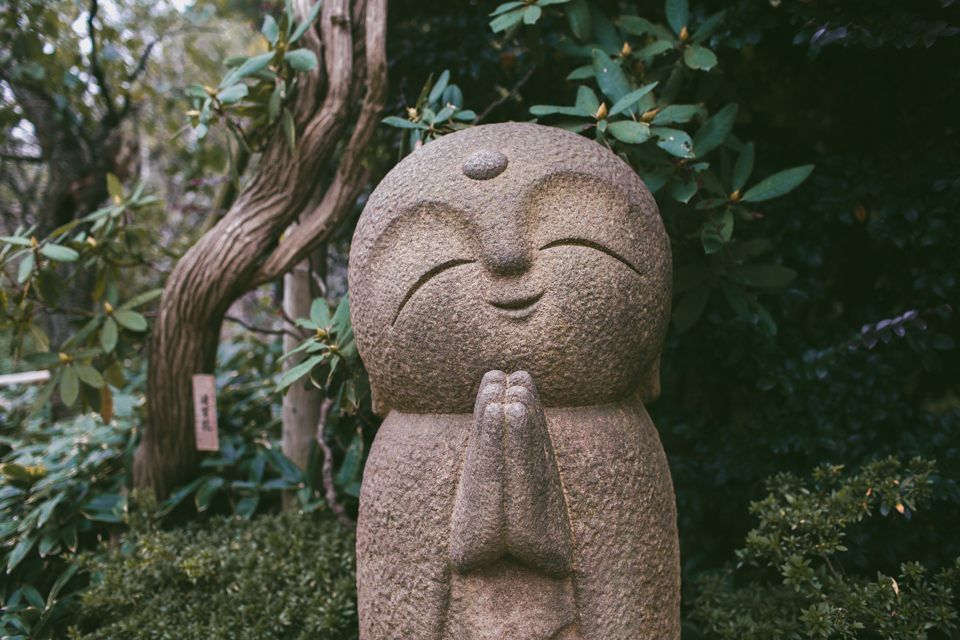 Hase Dera Kamakura - The cat, you and us