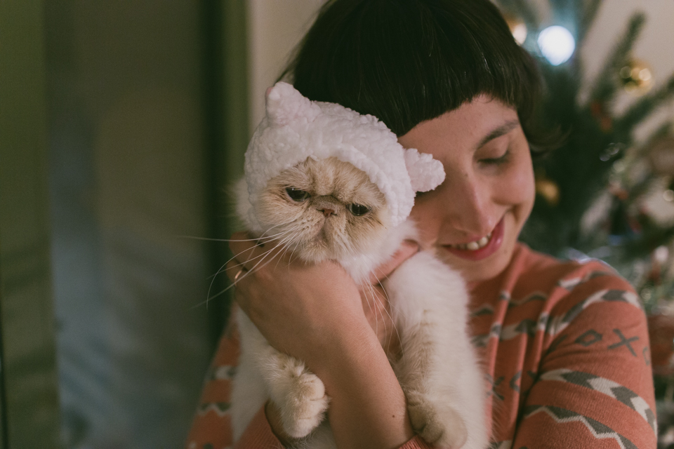 Juno in a Kawaii Japanese cat hat - The cat, you and us