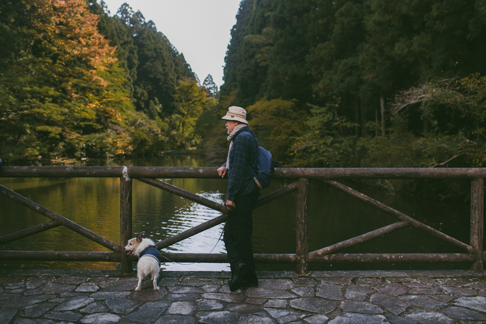 Onshihakone Park - The cat, you and us