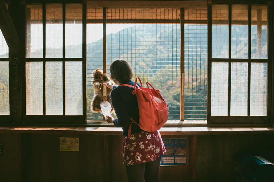 Arashiyama monkey park - The cat, you and us