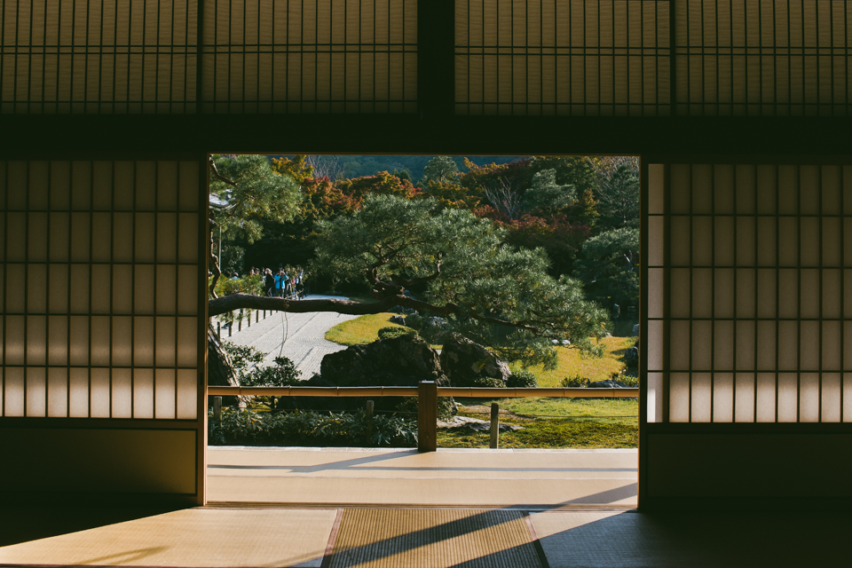 Tenryuji Temple - The cat, you and us