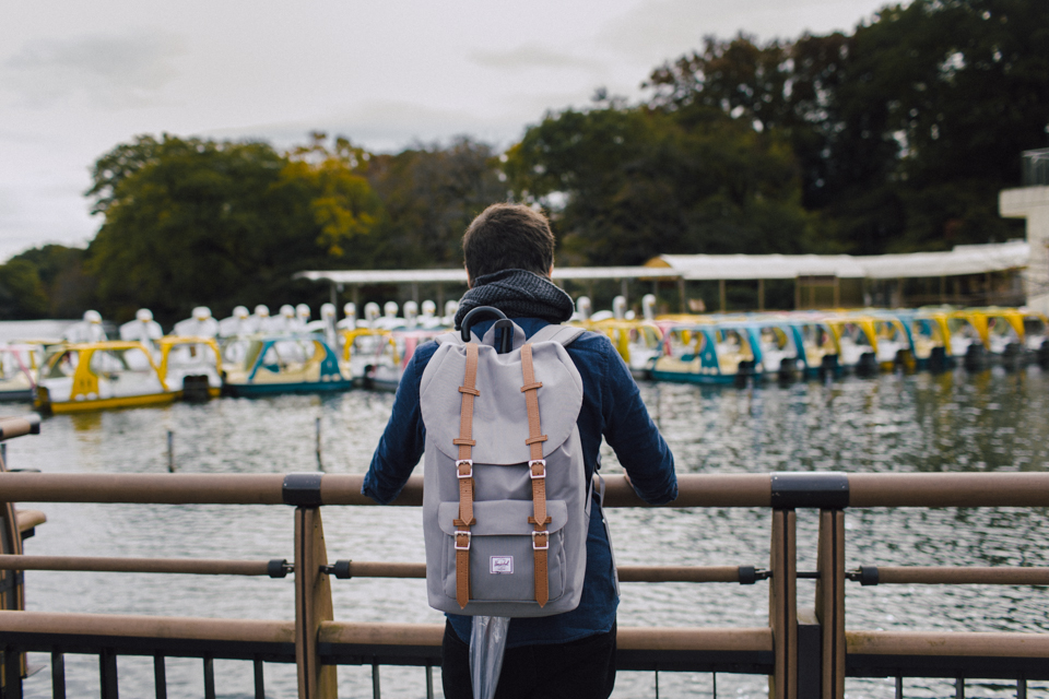 Inokashira koen park - The cat, you and us