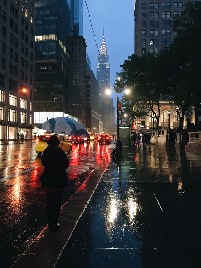 Chrysler building under the rain - The cat, you and us