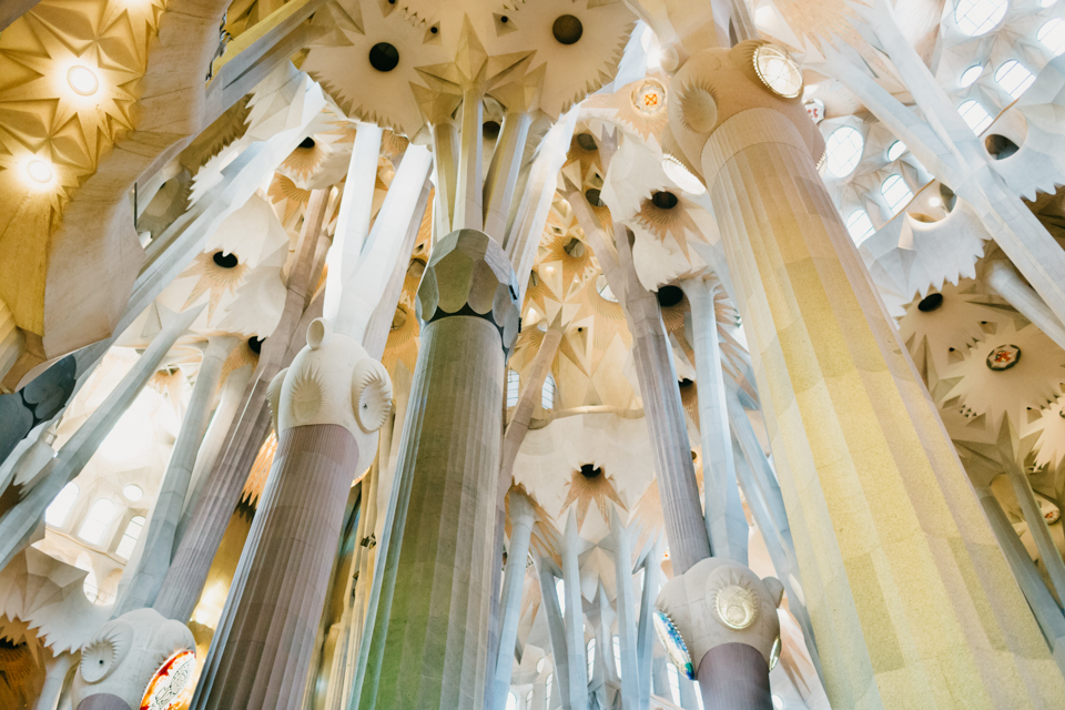 Sagrada Familia interior - The cat, you and us