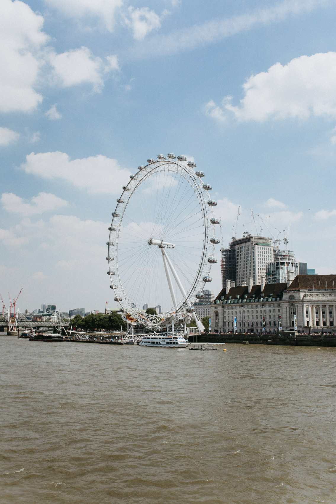 London eye - The cat, you and us