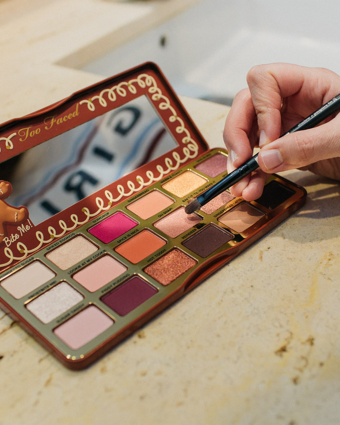 Gingerbread Too Faced eyeshadow palette - The cat, you and us
