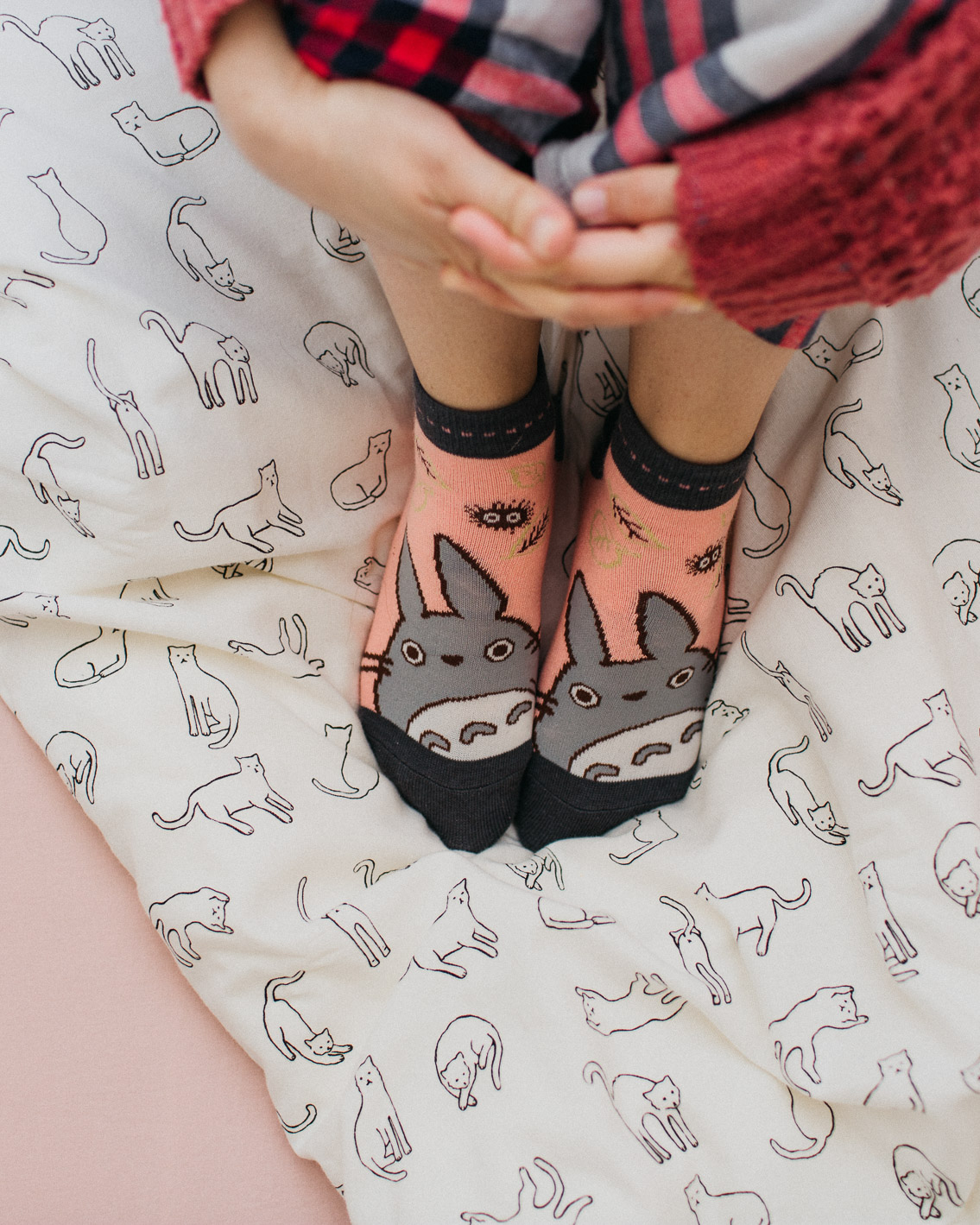 Totoro socks & cat duvet - The cat, you and us