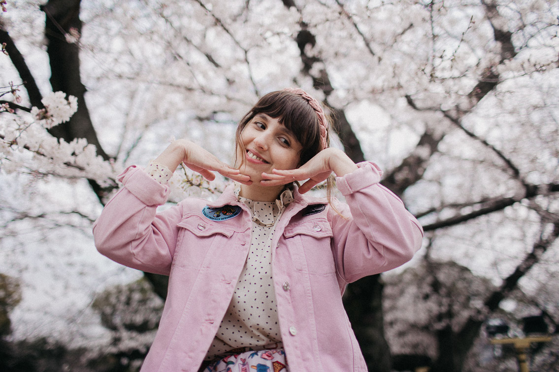 Chidorigafuchi park sakura season - The cat, you and us