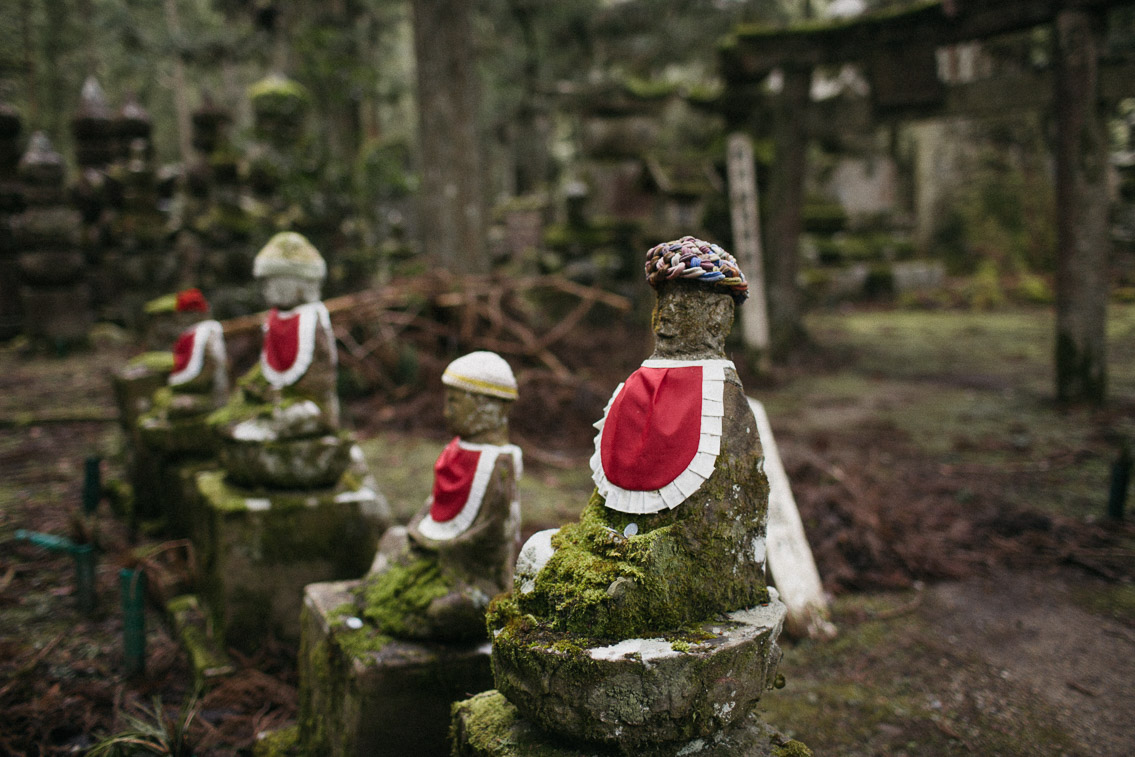 Okunoin cemetery Koyasan - The cat, you and us