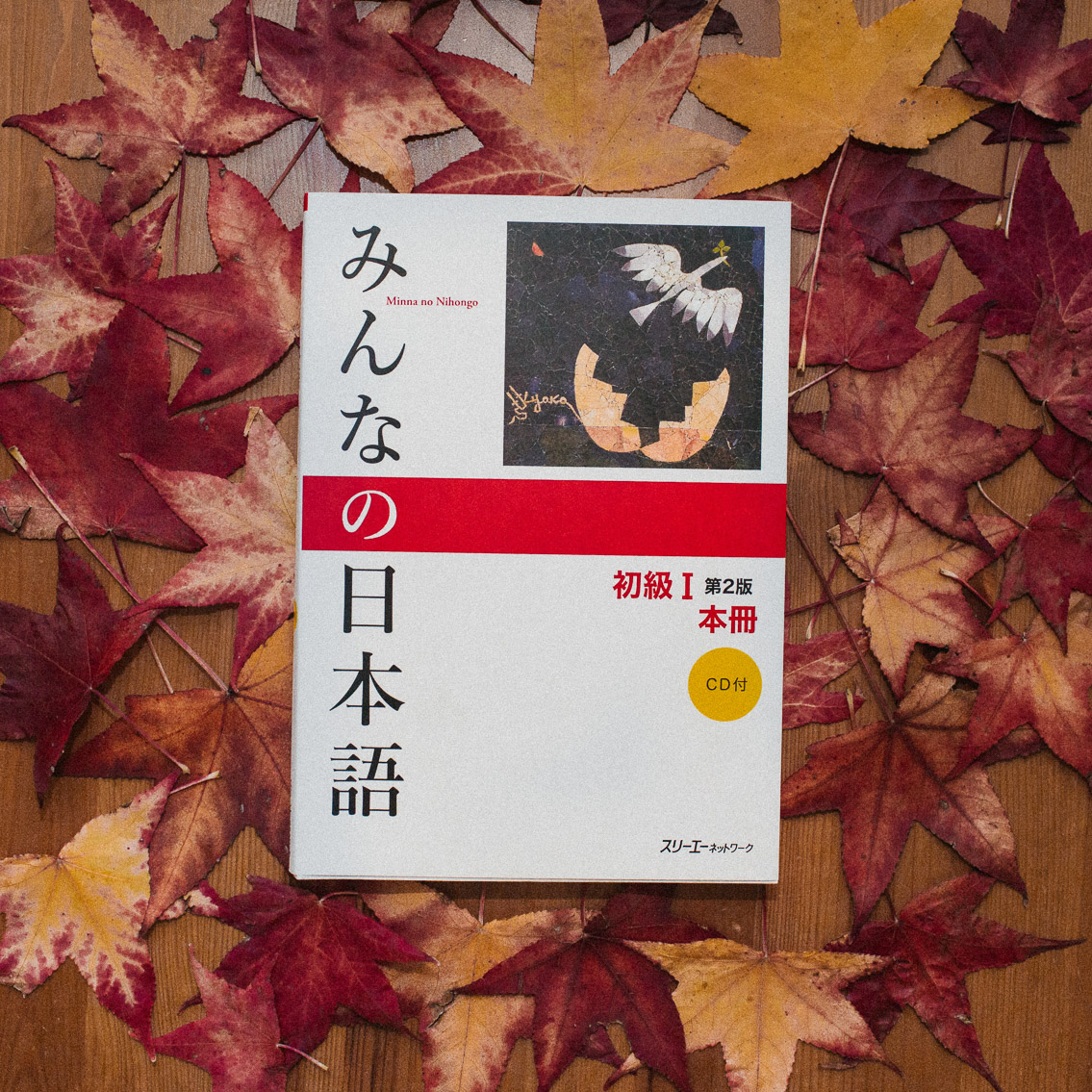 Learning Japanese autumn vibes - The cat, you and us