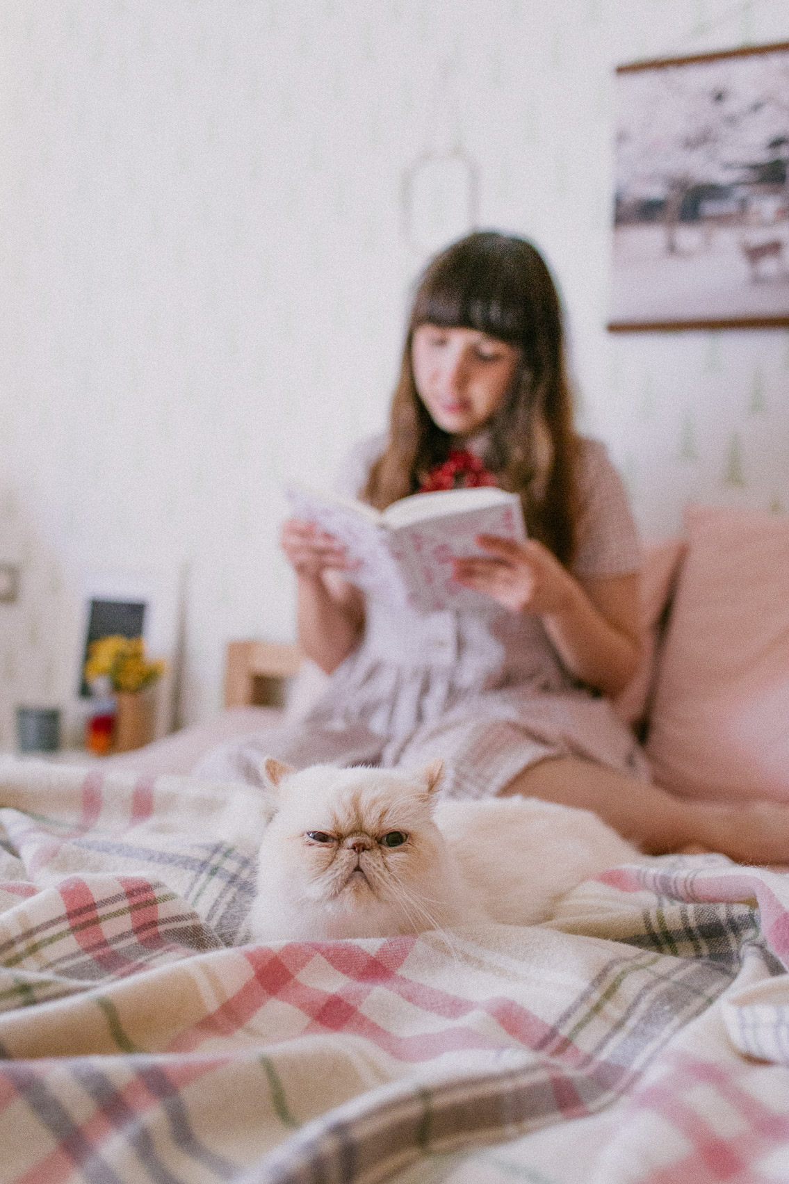 Cat and a girl reading