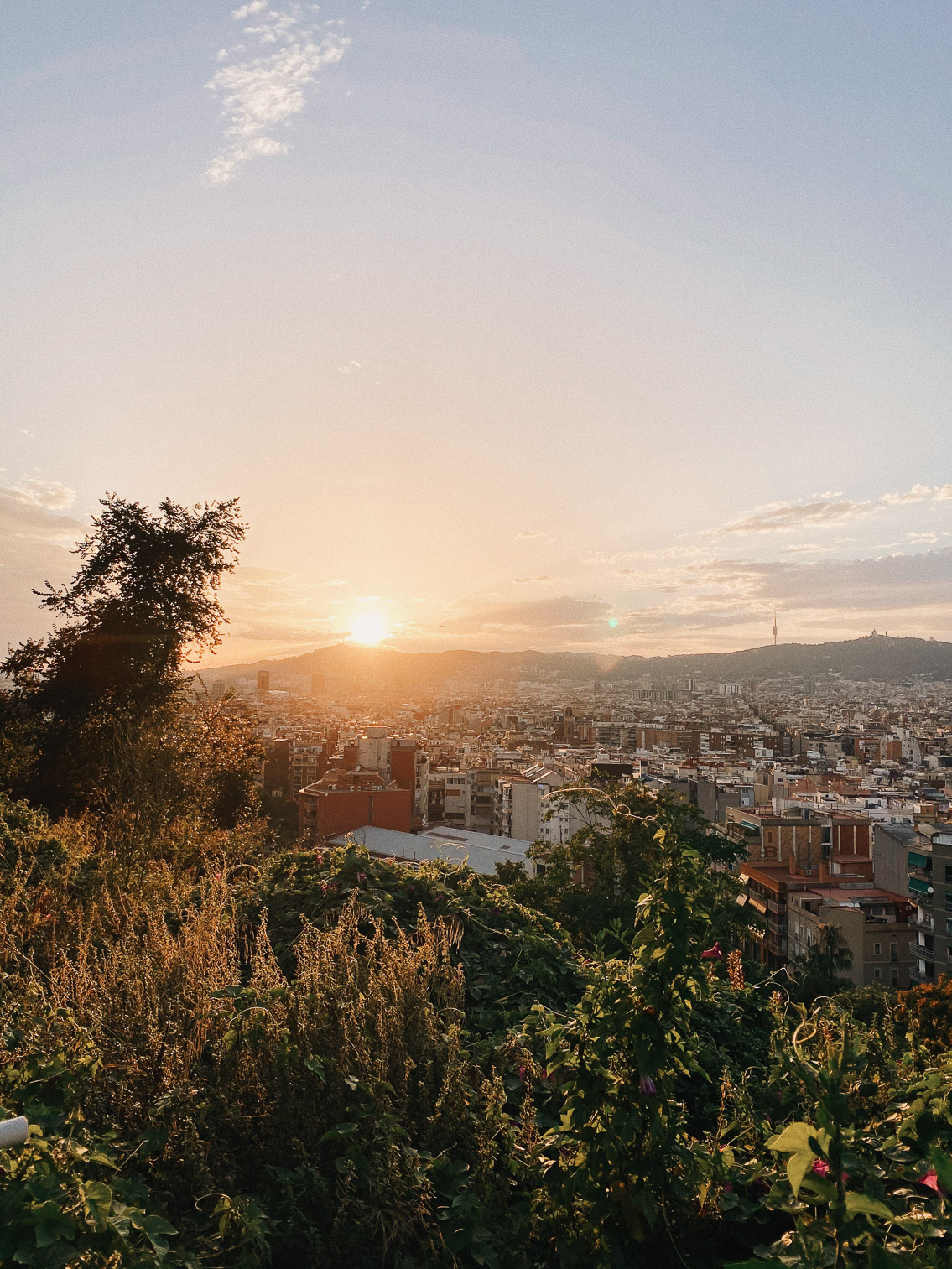 Barcelona sunset views - The cat, you and us