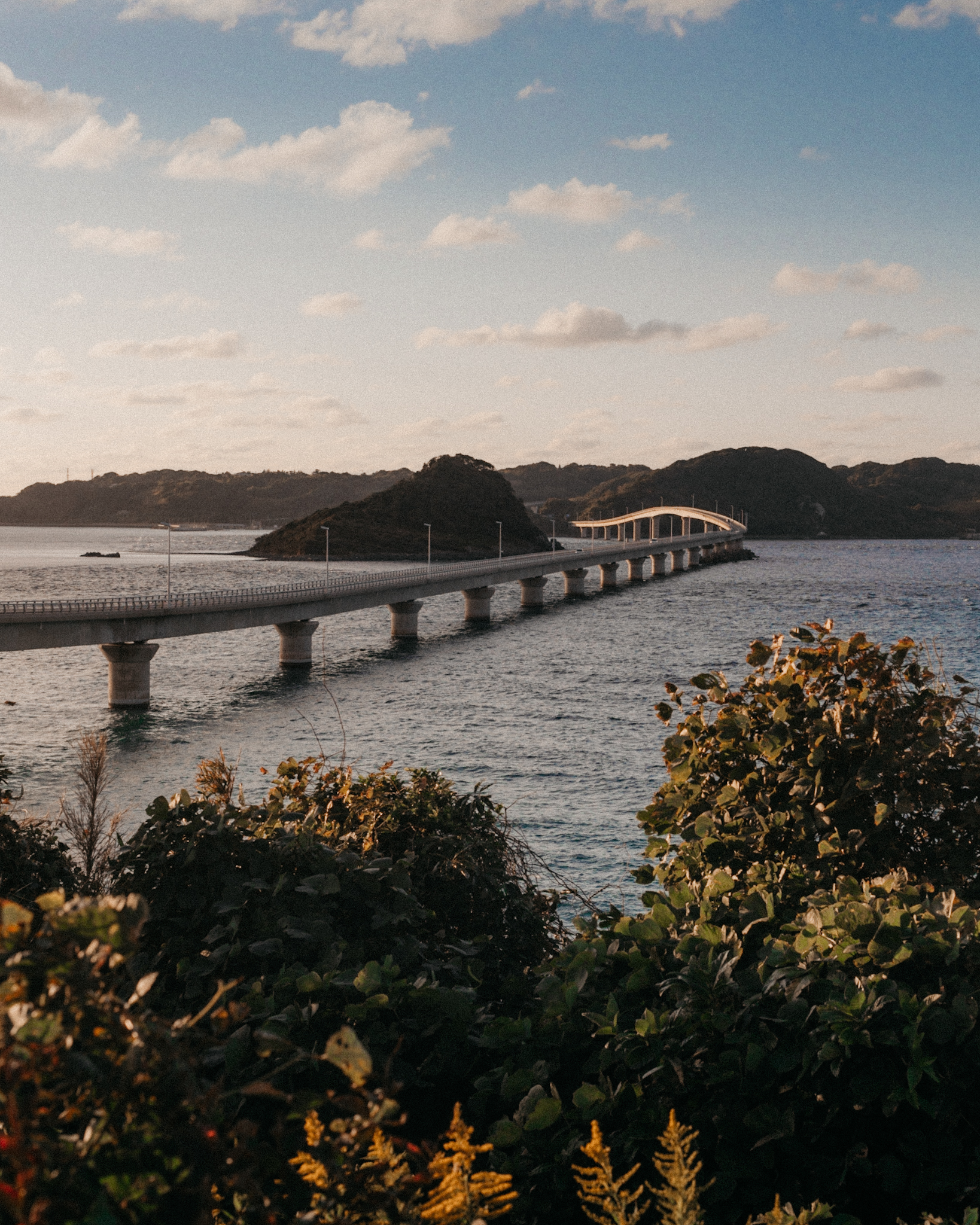 Tsunoshima bridge - The cat, you and us