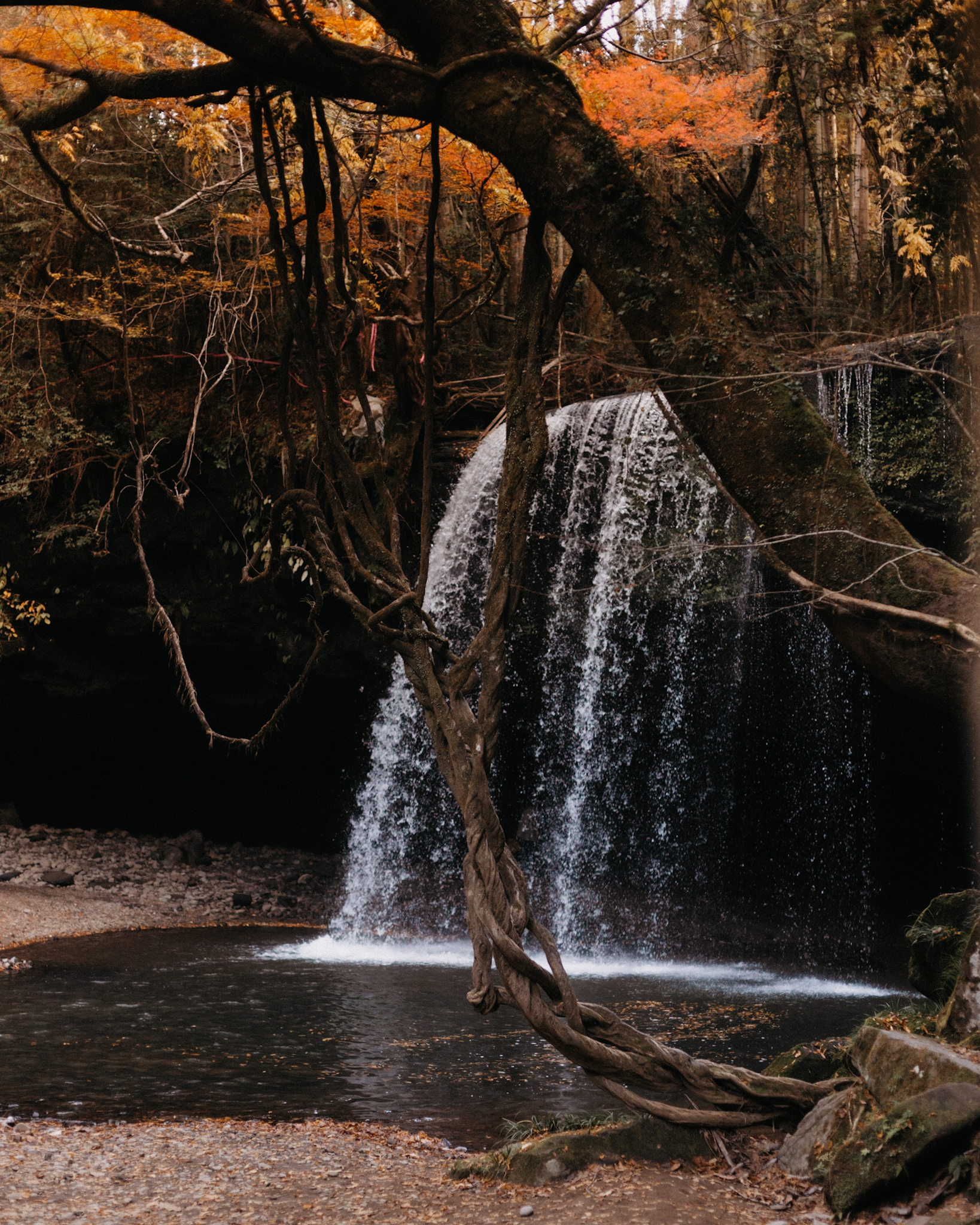 Nabegataki falls - The cat, you and us